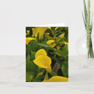 Tarjeta De Agradecimiento Calla lily