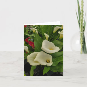 Tarjeta De Agradecimiento Calla Lily