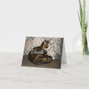 Tarjeta De Agradecimiento Callie Cat en Sofá