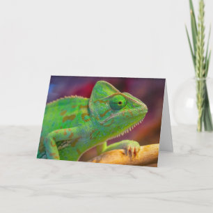 Tarjeta De Agradecimiento Camaleón Verde