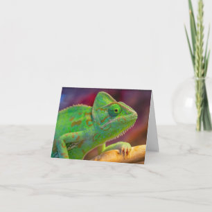Tarjeta De Agradecimiento Camaleón Verde