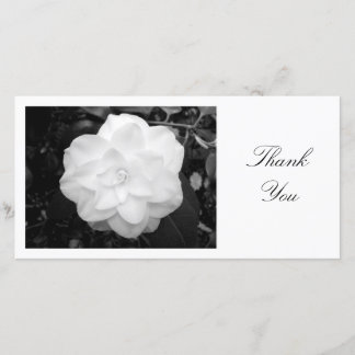 Tarjeta De Agradecimiento Camelia blanco - gracias