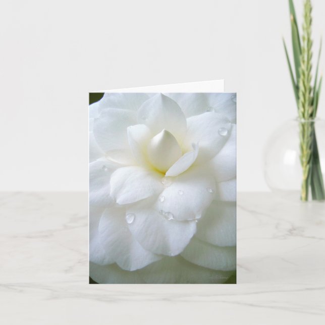 Tarjeta De Agradecimiento Camellia blanca con rocío (Anverso)