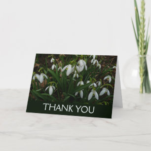 Tarjeta De Agradecimiento Campanillas de invierno I (Galanthus) Flores blanc