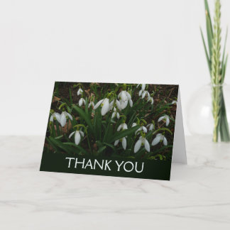 Tarjeta De Agradecimiento Campanillas de invierno I (Galanthus) Flores blanc