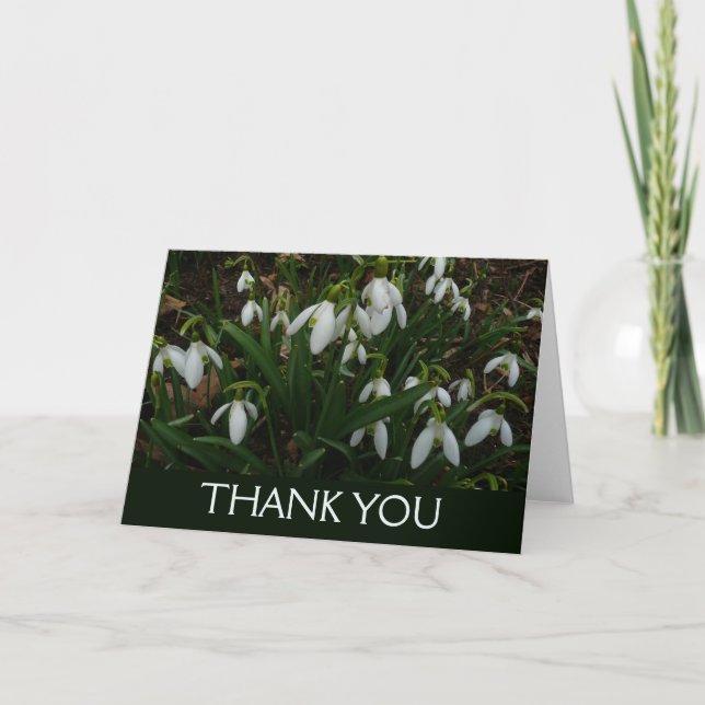 Tarjeta De Agradecimiento Campanillas de invierno I (Galanthus) Flores blanc (Anverso)