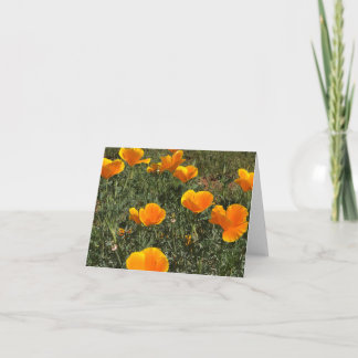 Tarjeta De Agradecimiento Campo de Amapolas