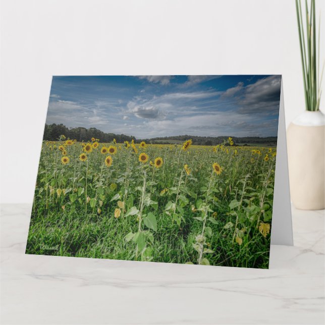 Tarjeta De Agradecimiento "Campo girasol" (Anverso)