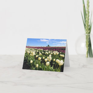Tarjeta De Agradecimiento Campo tulipán blanco y morado con globo de aire ca