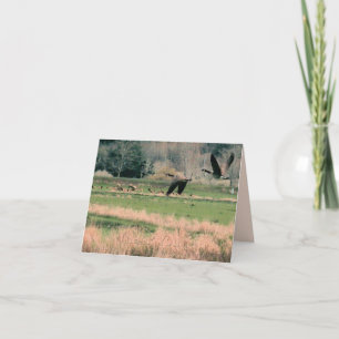 Tarjeta De Agradecimiento Canadá: Geese y Elk