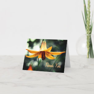 Tarjeta De Agradecimiento Canadian Lily Flower Gracias