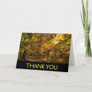 Tarjeta De Agradecimiento Canopy of Fall Leaves (carta en blanco dentro)