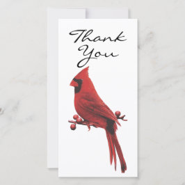 Tarjeta De Agradecimiento Cardenal de fotografía simplista de doble cara Gra