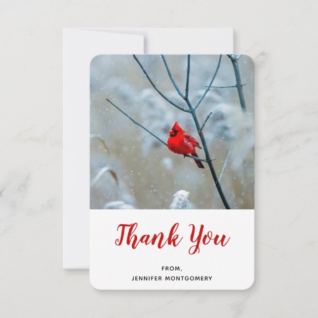 Tarjeta De Agradecimiento Cardenal rojo en Navidades de fotografía de natura (Anverso)