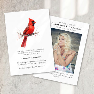 Tarjeta De Agradecimiento Cardenal Rojo Fotografía Simpatía Funeral Memorial