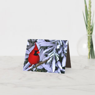 Tarjeta De Agradecimiento Cardenal rojo invernal