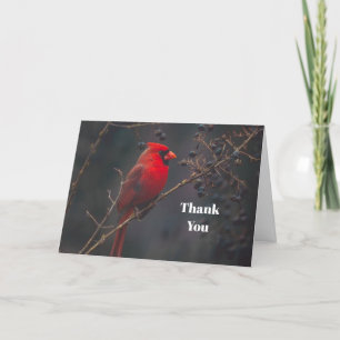 Tarjeta De Agradecimiento Cardenal rojo salvaje