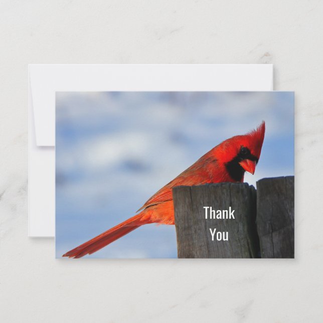 Tarjeta De Agradecimiento Cardenal rojo sobre trozos de madera gracias (Anverso)