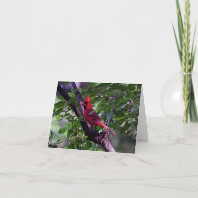 Tarjeta De Agradecimiento Cardinal (Anverso)