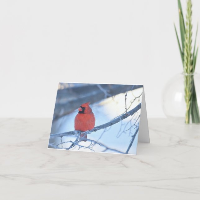 Tarjeta De Agradecimiento Cardinal notecard (Anverso)