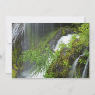Tarjeta De Agradecimiento Cascada de Agua Verde Escénica