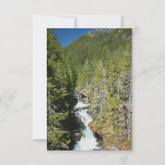 Tarjeta De Agradecimiento Cascada en el bosque nacional olímpico