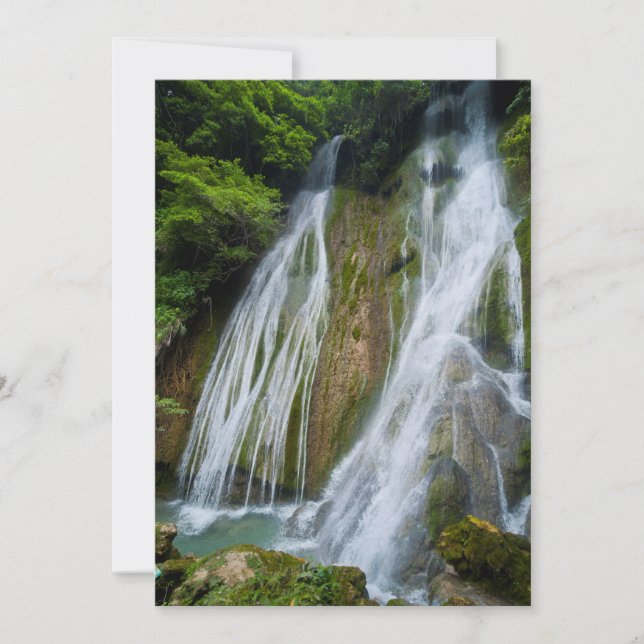 Tarjeta De Agradecimiento Cascada Mele-Maat En La Jungla (Anverso)