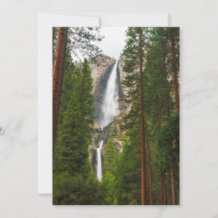 Tarjeta De Agradecimiento Cascada Yosemite a través del bosque