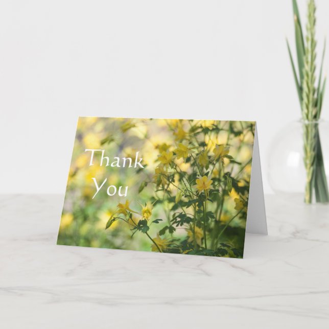 Tarjeta De Agradecimiento Cats-Claw Gracias (Anverso)