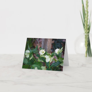 Tarjeta De Agradecimiento Cerca con Flores Blancas