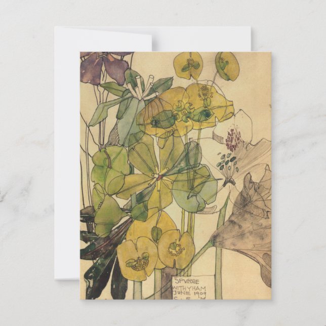 Tarjeta De Agradecimiento Charles Rennie MackMacintosh - Spurge With Yham 19 (Anverso)