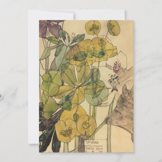 Tarjeta De Agradecimiento Charles Rennie MackMacintosh - Spurge With Yham 19 (Anverso)
