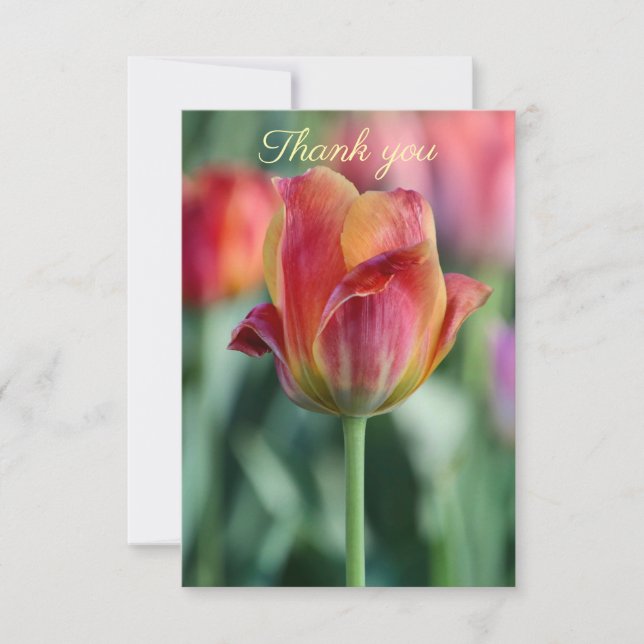 Tarjeta de agradecimiento Cheery Tulip (Anverso)