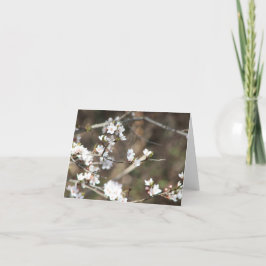 Tarjeta De Agradecimiento Cherry Blossom Blank