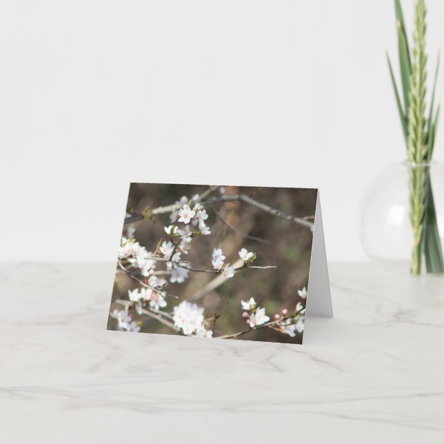 Tarjeta De Agradecimiento Cherry Blossom Blank (Anverso)