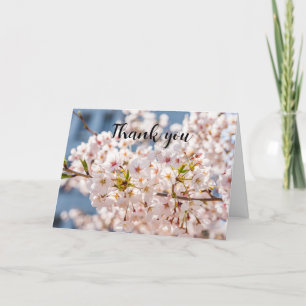 Tarjeta De Agradecimiento Cherry Blossom Pink Floral Boda Gracias