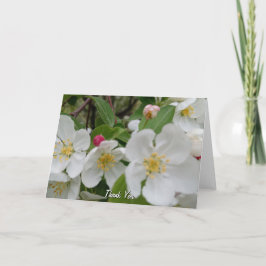Tarjeta De Agradecimiento Cherry Blossom Surprise Folded Thank You Card