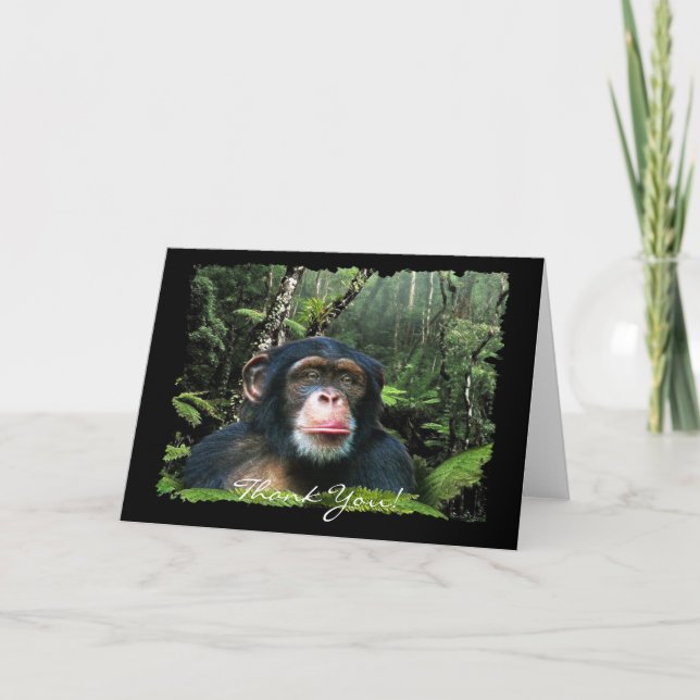 Tarjeta de agradecimiento CHIMPANZEE (Anverso)