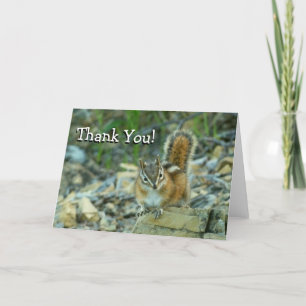 Tarjeta De Agradecimiento Chipmunk en el Parque Nacional Glaciar Gracias