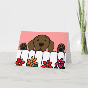 Tarjeta De Agradecimiento Chocolate Labrador observándote