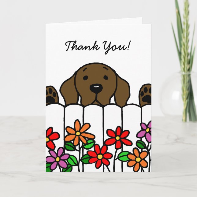 Tarjeta De Agradecimiento Chocolate Labrador observándote (Anverso)