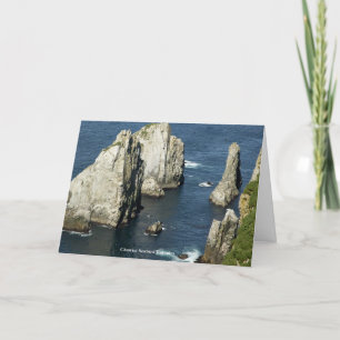 Tarjeta De Agradecimiento Chowiet Seabird Colonias Alaska General Friendly