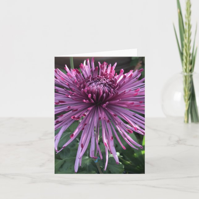 Tarjeta De Agradecimiento Chrysanthemum (Anverso)