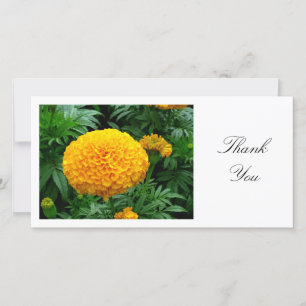 Tarjeta De Agradecimiento Chrysanthemum - Gracias