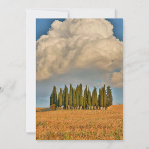 Tarjeta De Agradecimiento Cipreses de la Toscana rural