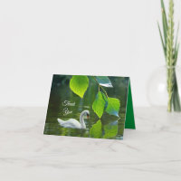 Cisne de verano elegante