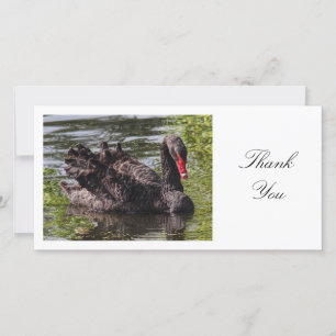 Tarjeta De Agradecimiento Cisne Negro - Gracias