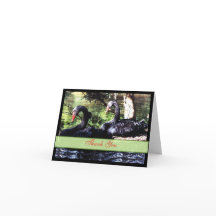 Tarjeta de agradecimiento Cisnes Negros Compañeros