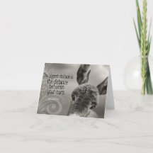 Cita Inspiradora "El mayor obstáculo"