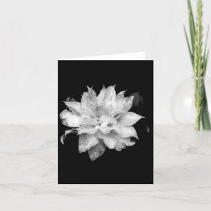 Tarjeta De Agradecimiento Clematis 2 Blank Note Card Condolencias Simpatía